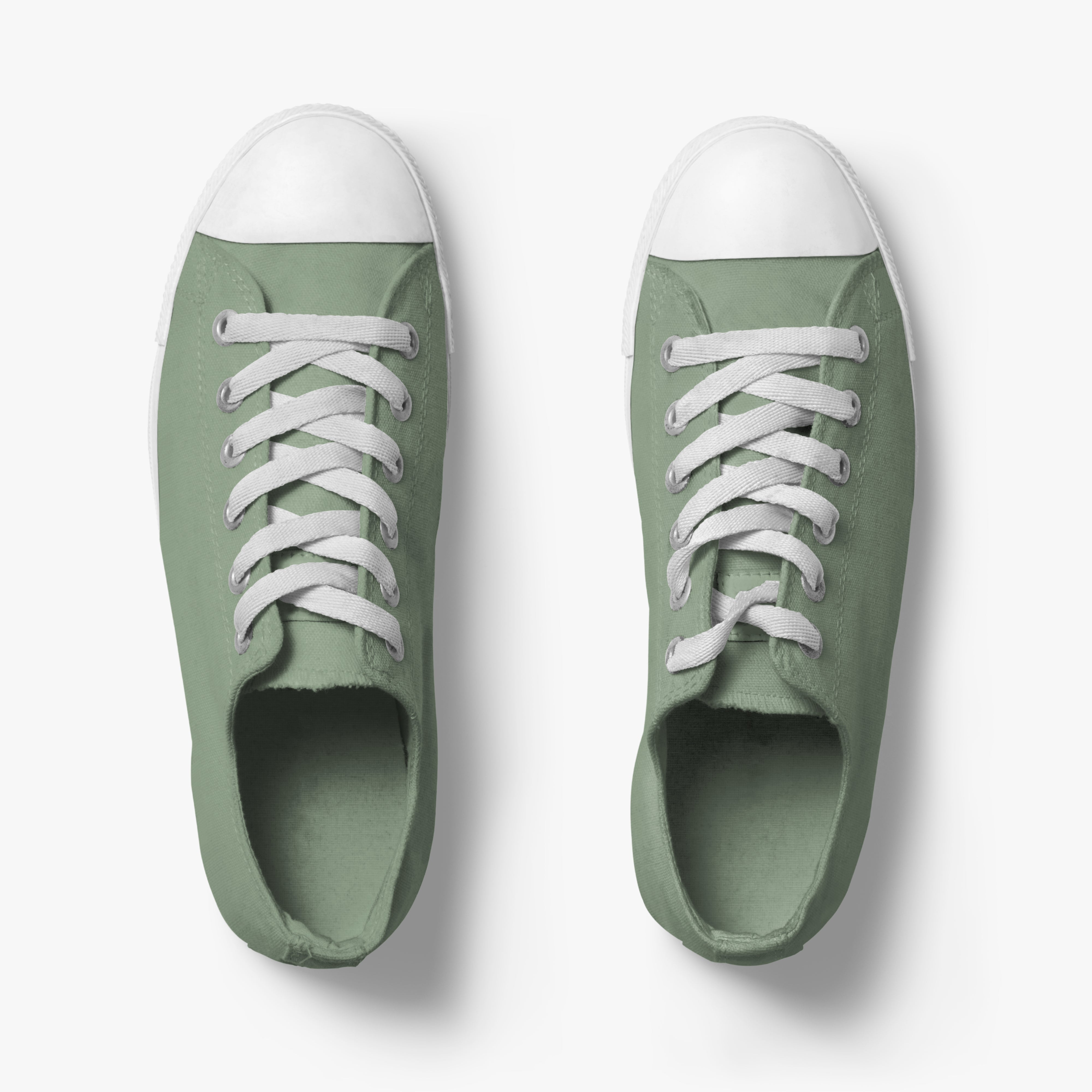 The shoe is a pair of "Nothing" shoes from Wellington in green color and with a sponge gift for every new order.